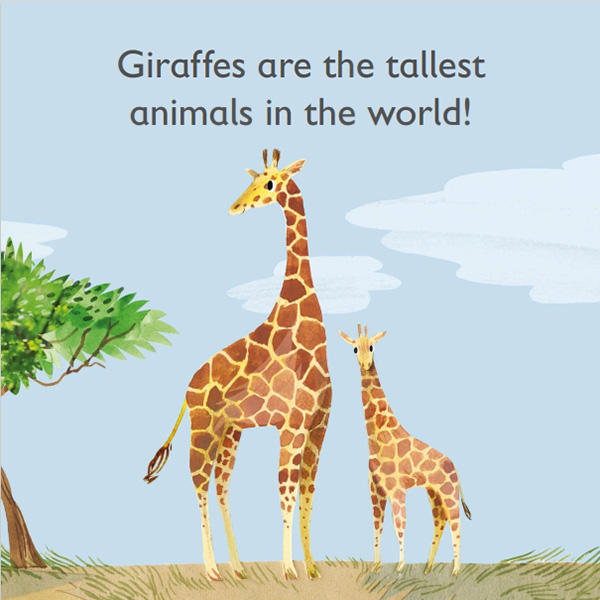 幼儿字母启蒙《DK动物字母认知书》